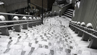 DSC01953-Edit.jpg