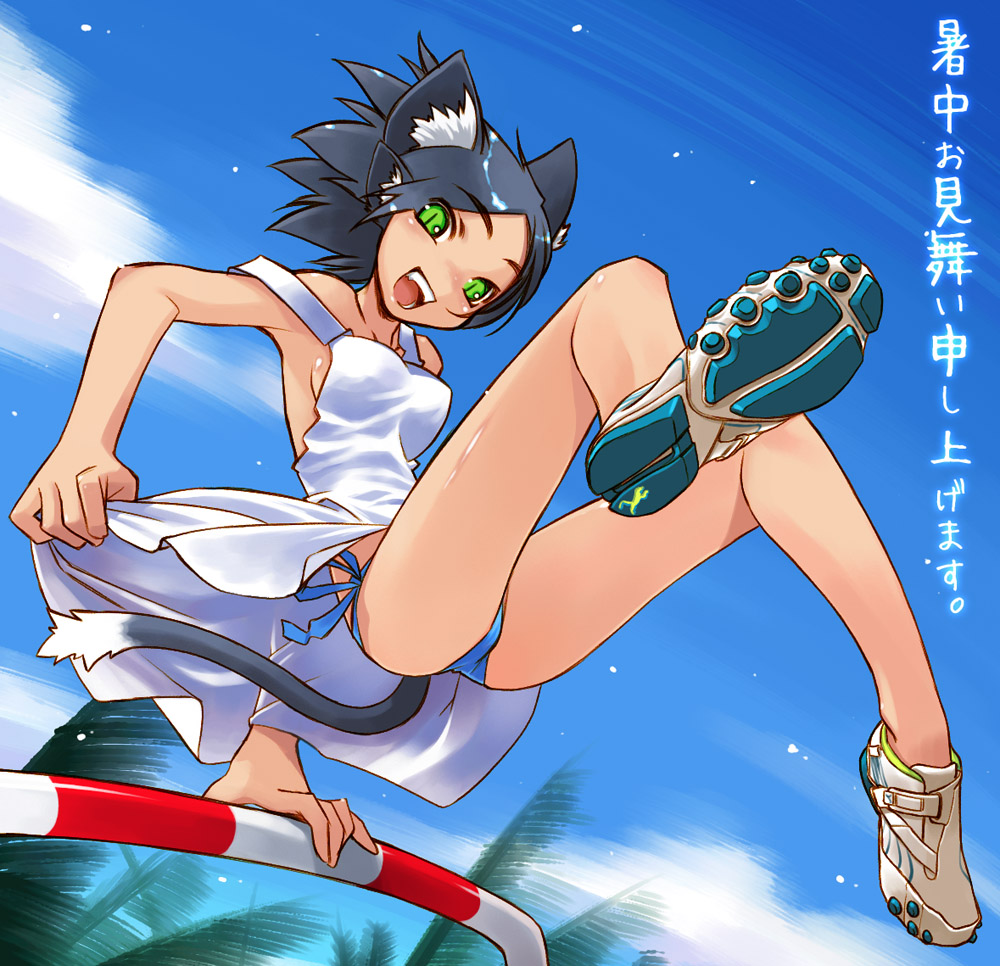 hachiwaleco_jump2.jpg